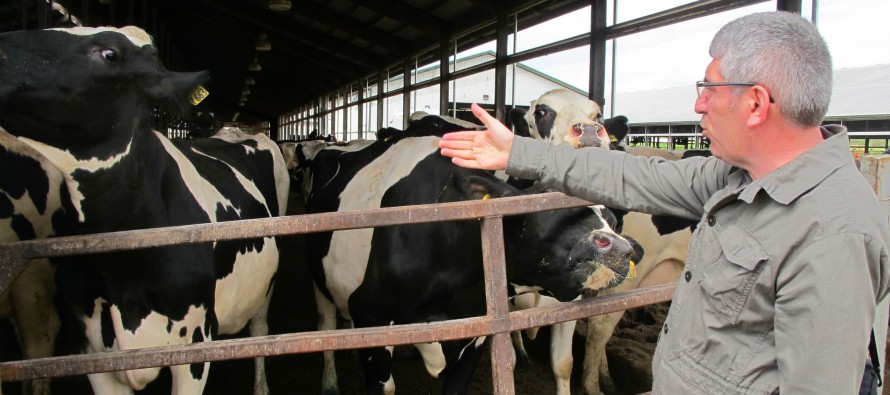 Amerikalı süt üreticilerinin desteğe ihtiyacı yok
