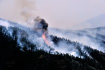 Colorado’da orman yangını hızla yayılıyor: 1 ölü