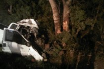 Teksas’ta trafik kazası: Pikaptaki 14 kişi öldü, 9 kişi yaralandı
