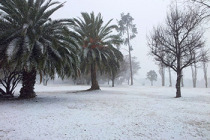 Güney Afrika’da başkente 52 yıl sonra kar yağdı