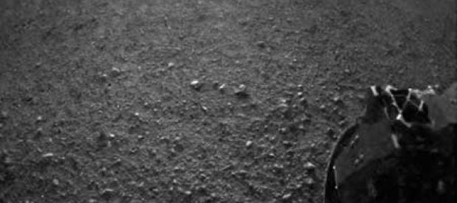 NASA, Mars’tan gelen ilk görüntüleri yayınladı