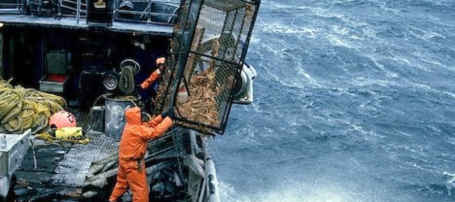 Amerika’daki en tehlikeli meslek balıkçılık