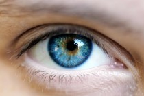Gözdeki proteinler bakterileri etkisiz kılıyor