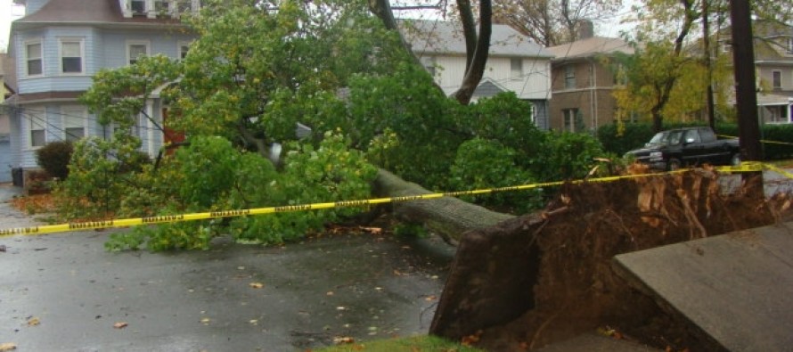Kasırga etkisini gösterdi New Jersey’de ağaçlar devrildi