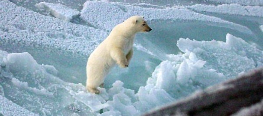 Kuzey Kutbu’nda buzların erimesi dünya da bazı dengeleri değiştirmeye namzet