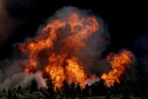 Colorado’da büyük orman yangını