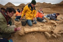 Fransa’da mamut iskeleti bulundu