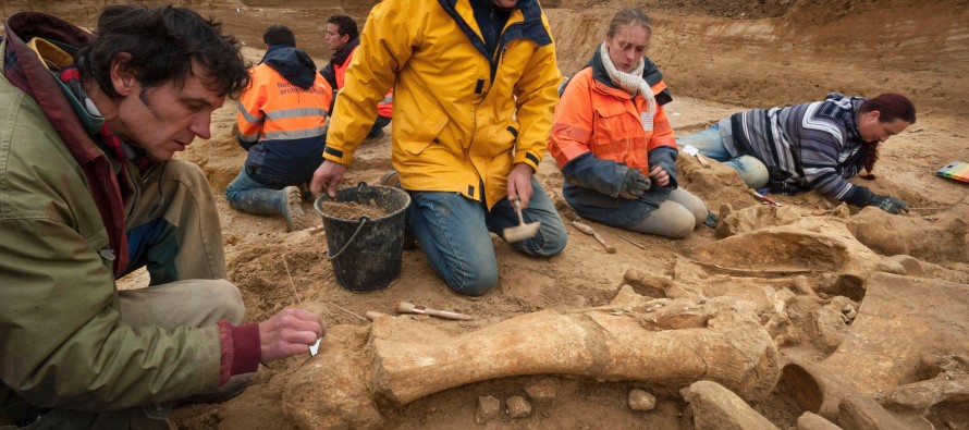 Fransa’da mamut iskeleti bulundu