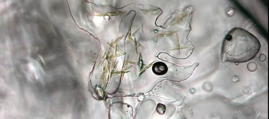 Buz içinde oksijensiz ve ışıksız yaşayabilen bakteriler bulundu