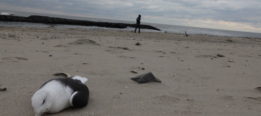 [HABER-İZLENİM] Sandy’in vurduğu NJ kıyılarında hayat şartları hala çok zor (FOTO GALERİ)
