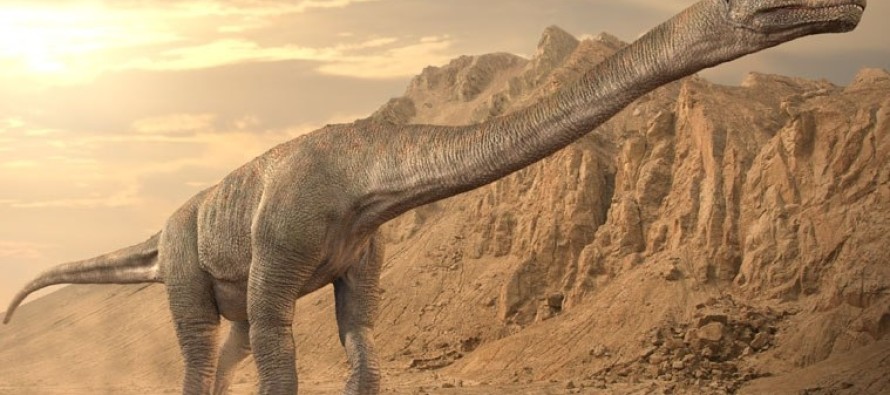 Bilinen en büyük dinozora ait diş fosili bulundu