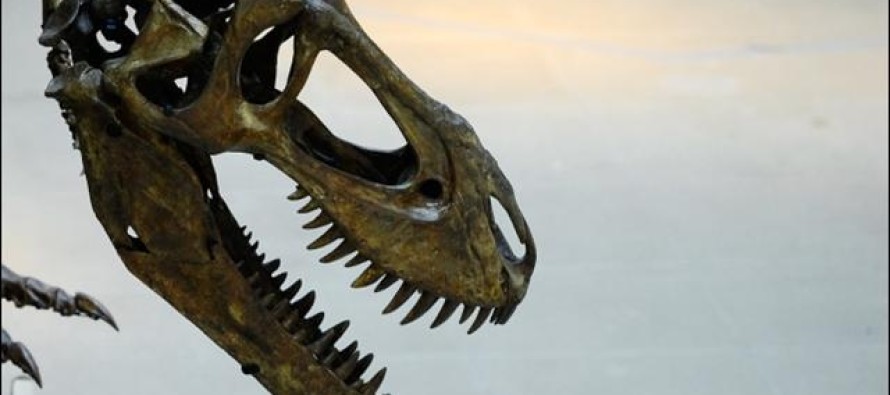 Wyoming’de bir evde dinozor iskeleti bulundu