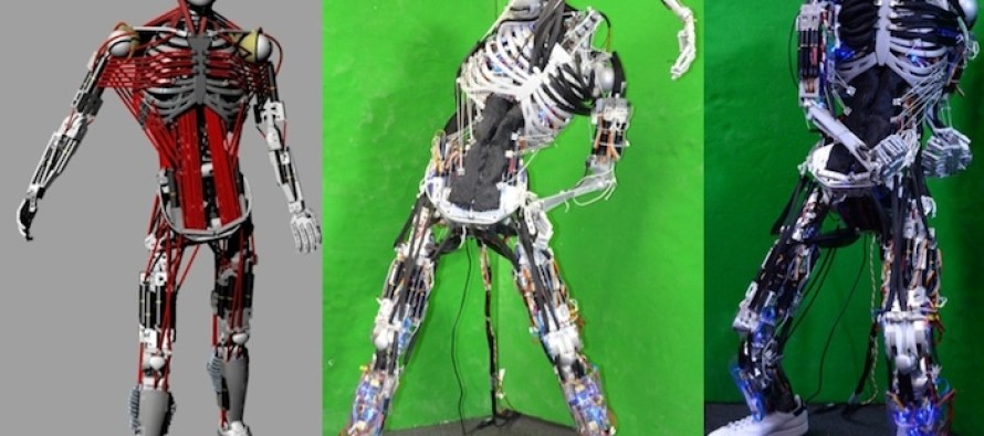 İnsanın kas ve iskelet yapısına en çok benzeyen robot geliştirildi