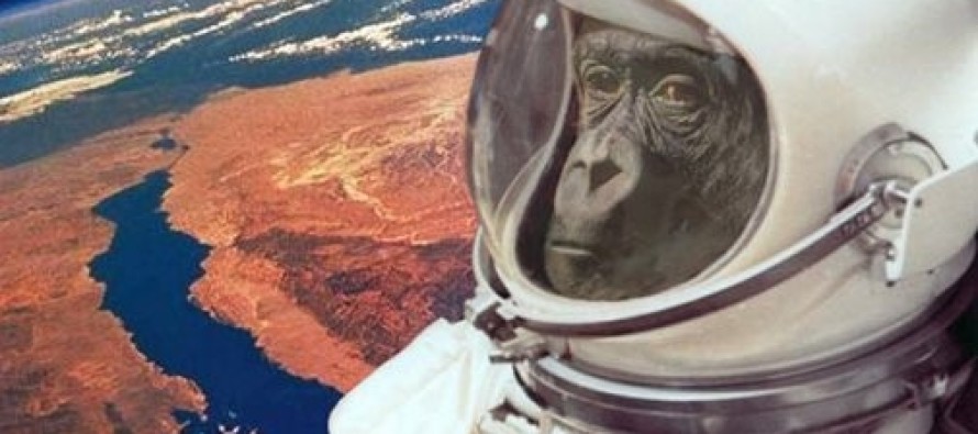 İran, uzaya maymun gönderdi