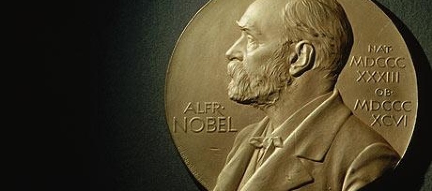 2013 Nobel Barış Ödülü’ne rekor aday