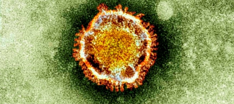 CDC’den ‘yeni virüs’ uyarısı