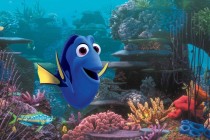 Finding Nemo filminin devamı 2015’te sinemalarda