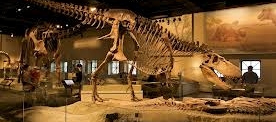 ABD’ye kaçırılan dinozor iskeleti Moğolistan’a iade edildi