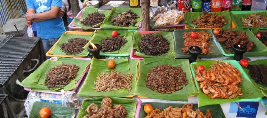 BM Raporu: Açlıkla mücadele için böcek yenmeli
