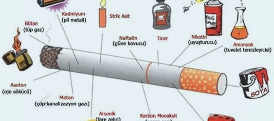 Sigarada olmayan zehir yok!