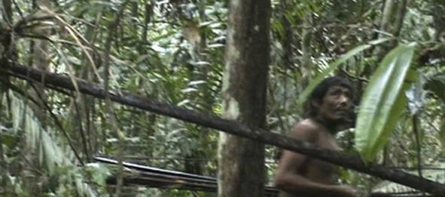 Amazonlardaki kabile ilk kez görüntülendi