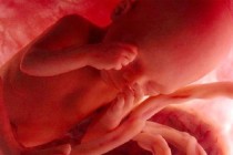 Anne karnındaki bebeğin kromozom hastalıkları tespit edilebiliyor