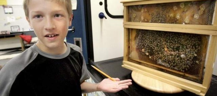 Öğrenciler sınıfta arılarla ders işliyor