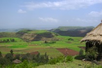 Ülkeler Afrika’da toprak kiralama yarışına girdi