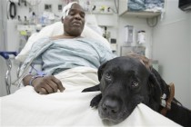Cesur köpek görme engelli sahibini tren altında kalmaktan kurtardı