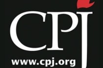 CPJ: Gerçekler, medyaya baskı yoluyla gizlenemez