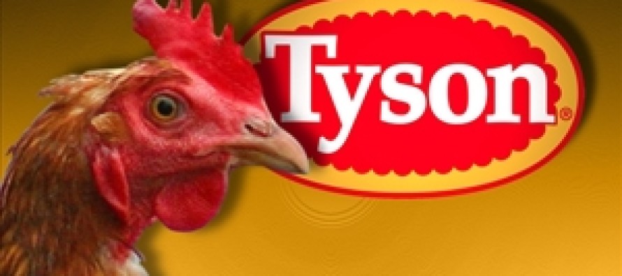 Tyson piyasaya sürdüğü 15.5 ton tavuğu geri toplatıyor