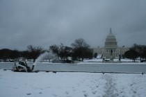 Washington kar altında kaldı