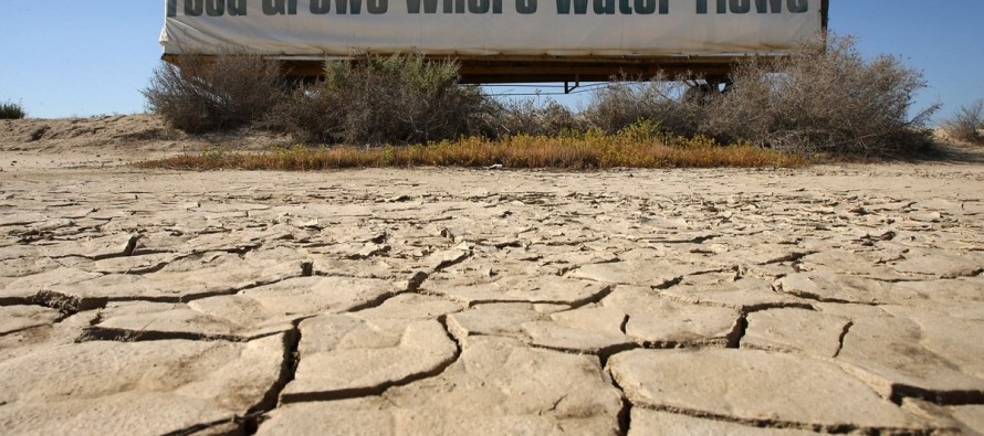 California’daki kuraklık yiyecek fiyatlarını tehdit ediyor