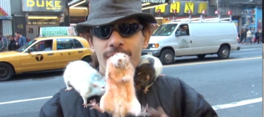 New York’un Times Meydanı’nda farelerle şov yapıyor