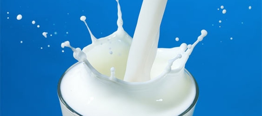 Kemik erimesine karşı her gün bir bardak süt için!