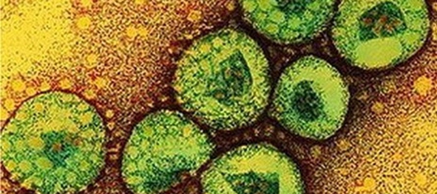 Ortadoğu’nun kabusu MERS virüsü ABD’ye taşındı
