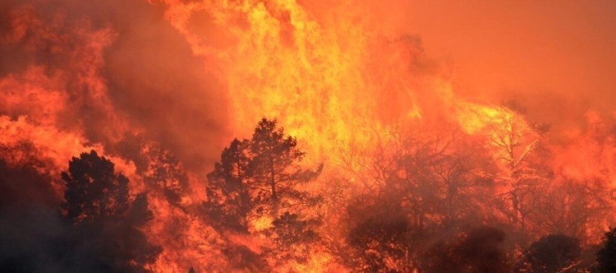 California’da 35 kilometrelik alan yanıyor