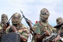 Boko Haram, üç kasabayı yok etti
