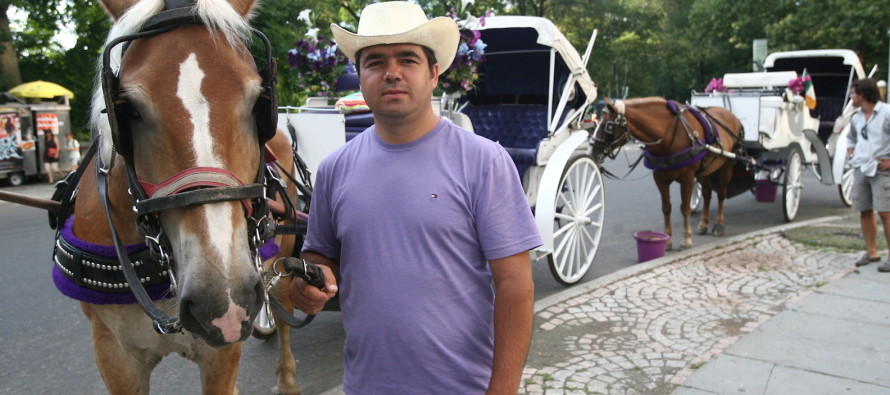 New York’taki faytoncular atların şehirden kaldırılmaması için 40 bin imza topladı