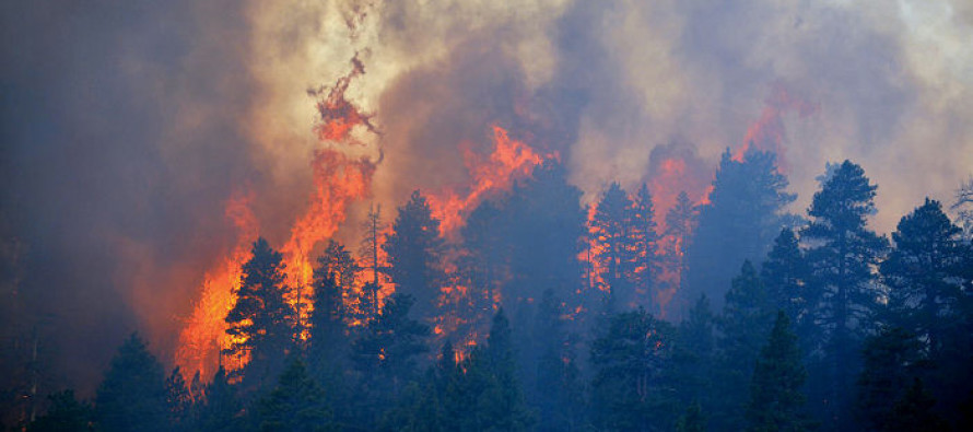 Oregon eyaletinde son 24 saattir etkili olan fırtına orman yangınlarına neden oldu
