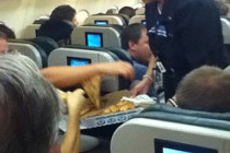 Pilottan yolculara pizza