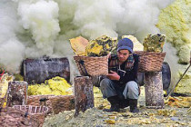 Java Adası’nda kükürt sarısı hayatlar