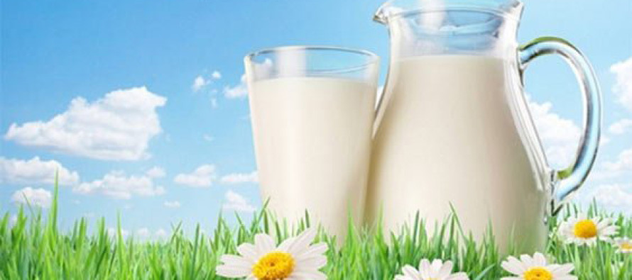Bahar yorgunluğunu süt ile atın