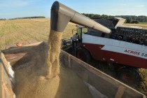Rusya tahıl hasadında rekor; 100 milyon ton