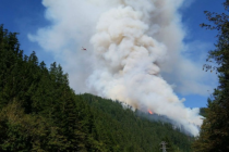 Oregon’da orman yangını yüzlerce insanı evsiz bıraktı