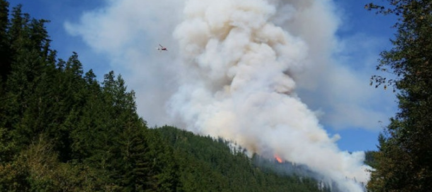 Oregon’da orman yangını yüzlerce insanı evsiz bıraktı