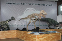 Moğolistan’da dinozor kemikleri bulundu