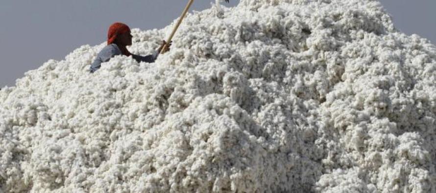 Brezilya ve ABD, pamuk üretimi konusunda anlaştı