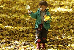 A boy walks in a city park amidst fallen leaves on a sunny autumn day in Stavropol