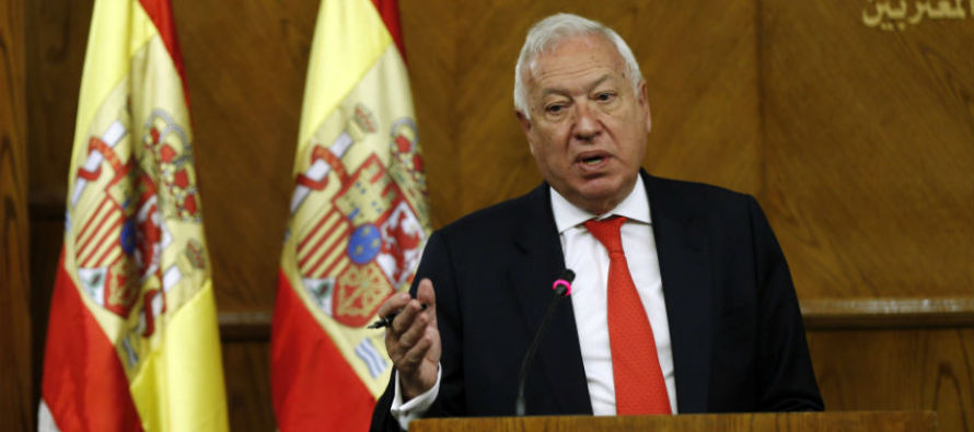 İspanya Dışişleri Bakanı Margallo: Türkiye sınırı kontrol edilmeli